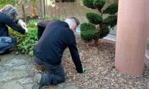 BPA Ouvrier Spécialisé en Paysage - OSP -Formation continue adulte