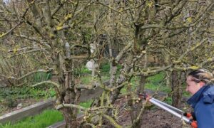 Formations courtes à la carte en Environnement et Paysage