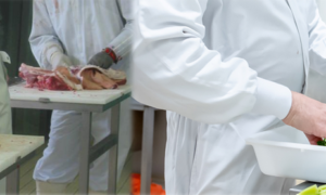 CAPA OIA Boucherie / Charcuterie / Traiteur / Restauration collective - Apprentissage ou Continue Adulte