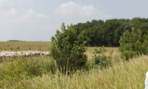 BP Responsable d'Entreprise Agricole -REA- Apprentissage ou Continue Adulte