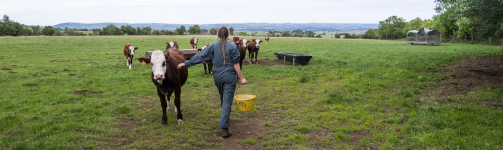 BTSA Métiers de l'élevage - ME - Apprentissage