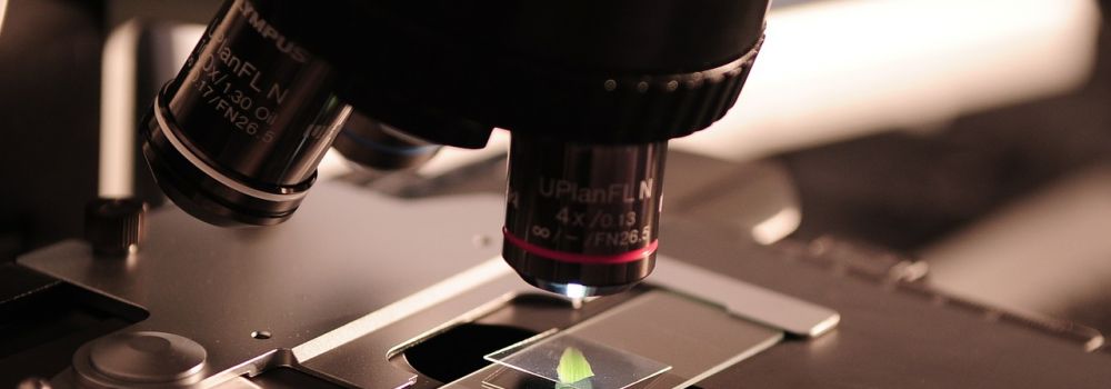 2nde GT - Option Biotechnologie et Laboratoire