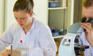 BTS BioAC - BioAnalyses et Contrôles