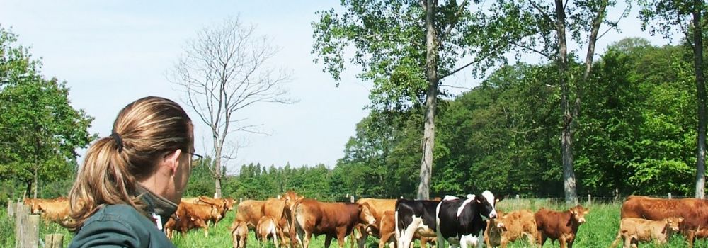 LICENCE PRO Commerce et conseil en Productions Animales - PA