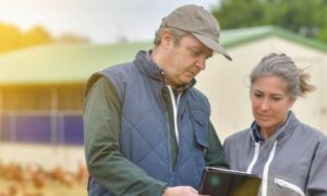 LICENCE PRO Agricultures, terroirs et territoires : Conseil et développement - Formation en apprentissage