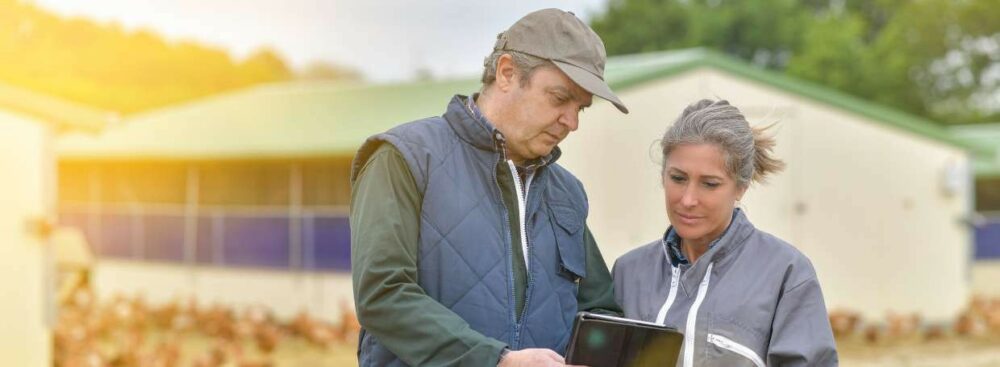 LICENCE PRO Agricultures, terroirs et territoires : Conseil et développement - Formation en apprentissage