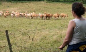 Formations courtes à la carte en Agriculture